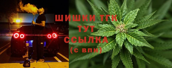 спайс Вяземский