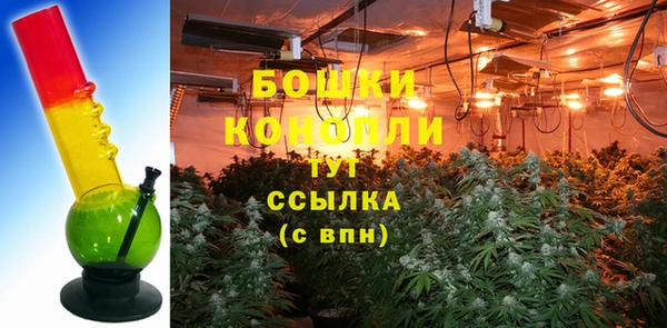 бошки Вязьма