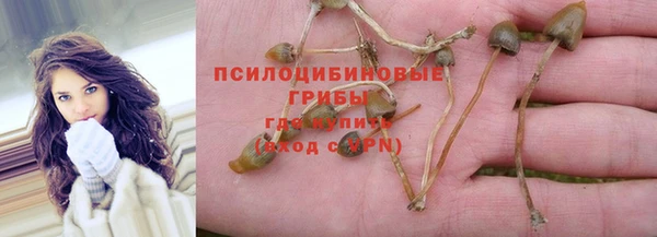 спайс Вяземский