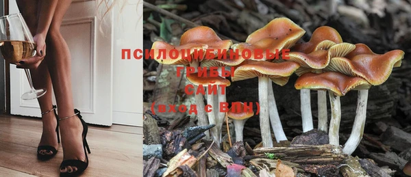 мет Вязники