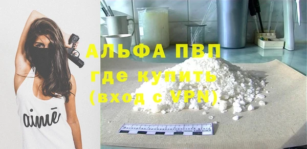 спайс Вяземский