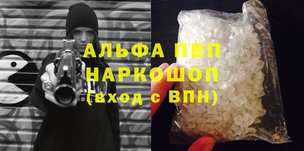 спайс Вяземский