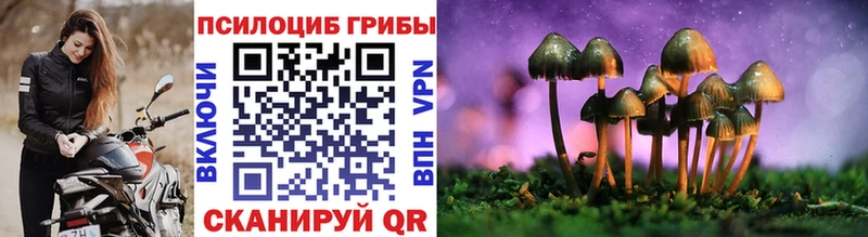 Псилоцибиновые грибы Magic Shrooms  Сольцы 
